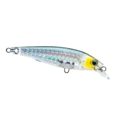 ISCA 3DR-X JERKBAIT PSBL  Casa Japon