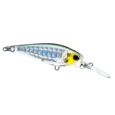 ISCA 3DR-X SHAD PSBL  Casa Japon