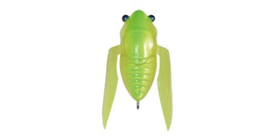 ISCA TINY SIGLETT COR GLX GLASS BUG Casa Japon