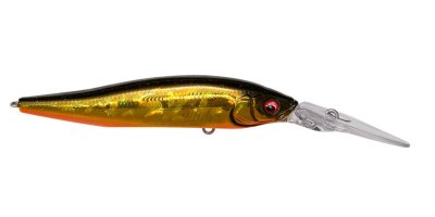 ISCA X-NANAHAN+2 COR GG MEGABASS Casa Japon