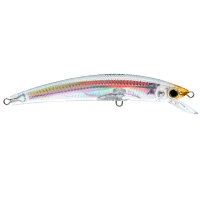 ISCA CRYSTAL 3D MINNOW COR RGLM Casa Japon